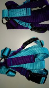 Titan_ Easy_On_Off_No_Pull_Harness_Color_Combinations