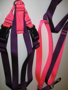 Titan_Harness_and_Leash_Set_in_Purple_and_Neon_Hot_Pink