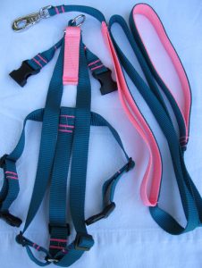 Titan Easy On/Off No Pull Harness Set - Teal-Salmon