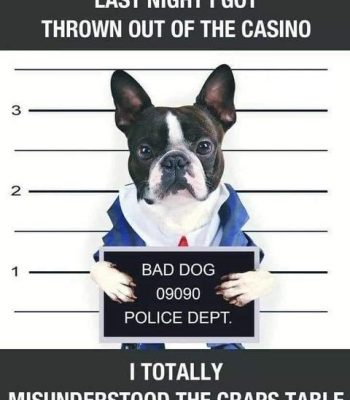 BadDog