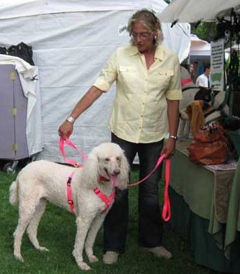 Easy On/Off No Pull Dog Harness with Matching Dual Handle Leash