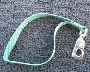Short Walking Lead - 12 inches